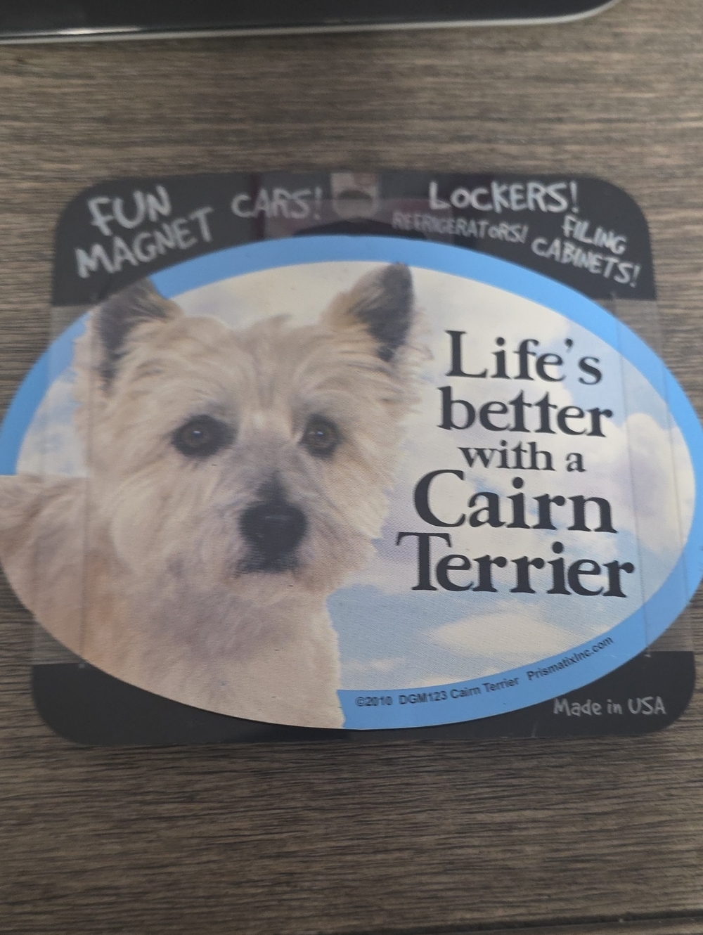 FUN MAGNET PET DECALS - Picture 1 of 2